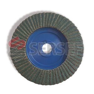 DISCO RAL-FLEX NASTEX DSA 2557 DIAM. 170 X 22 MM. GRANO 50 TIPO 822 DERECHO