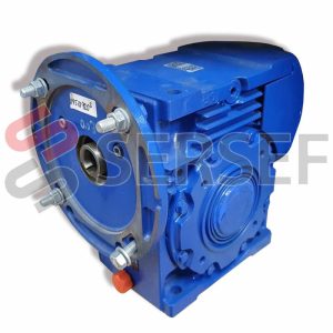 REDUCTOR MRV100 UO2A 100L4 B5/43.8 I=1:32 PAM=250/28 FORO=48 MM. B3 MARCA ROSSI