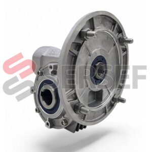 REDUCTOR VF-49/P I=1:24 PAM=160/14 FORO=25 MM. MARCA BONFIGLIOLI