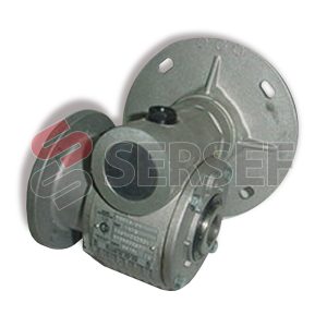 REDUCTOR MRV-10-F1 I=1:6 PAM=160/14 FORO=22MM. MARCA GHIRRI CESARE