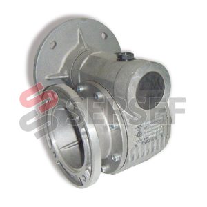 REDUCTOR MRV-20 F1 I=1:100 PAM=160/14 FORO=24MM. MARCA GHIRRI CESARE