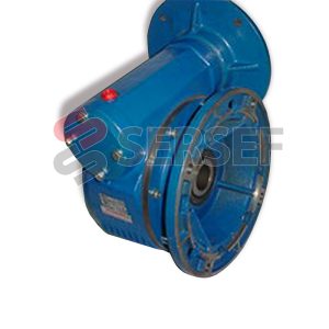 REDUCTOR MRV-60 F2 I=1:100 PAM=250/28 FORO=42 MM. MARCA GHIRRI CESARE