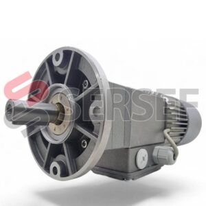 MOTOREDUCTOR ACRDE 110PT 66.6 B5 440V   60HZ CCAUS ENCODER 50RPM MARCA MINIMOTOR