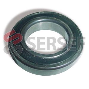 BALERO 6007.2RSR 62-35-14 PARA BOMBA DE ESMALTE D-800