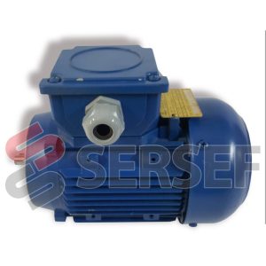 MOTOR TKE QS FC63M2B-40 H IMB14 KW=0.25/0.28 2P V=230-400/277/480 50/60HZ MARCA SEIPEE