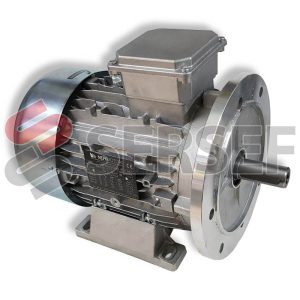 MOTOR HE3 112 2P IMB35 KW=5.5/6.6 V=230-400/280-480 50/60HZ IE3 IP66 + RESINA MARCA NERI