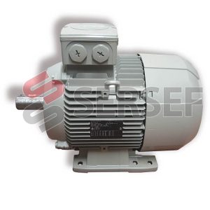 MOTOR 1LA17131-2AA60 B3 HZ=60 V=460 KW=8.6 A=13.5 RPM=3530 MARCA SIEMENS (EX