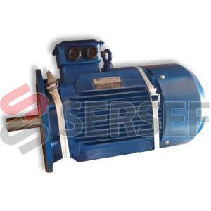 MOTOR 160L4 IMB5 KW=15 POLOS=4 V=400-690/440-760 HZ=50/60 MARCA NERI MOTORI