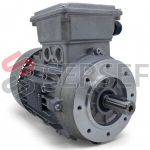 MOTOR T80B6 IMB14 KW=0.55 IE1 IP65 EUROVOLTAJE MARCA NERI