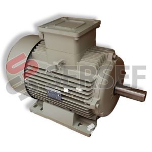 MOTOR C1A160L KW=9.5 8P IMB3 400/690/50 IE1 CL.F IP55 MARCA ELECTRO ADDA