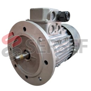 MOTOR 71B4/B5 V=110 VOLTS 60 HZ GRADO ALIMENTICIO