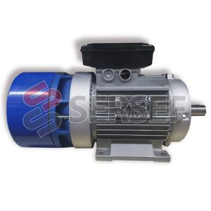 MOTOR AUTOFRENANTE BA100LA4 IMB3 KW=2.2/2.6 V=230-400/277-480 VB=VM DX IP54 MARCA MGM DX=DOBLE CAJA DE BORNES, FRENO 5DNM IE1