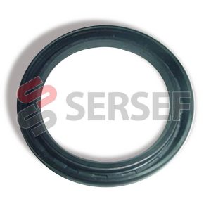 ANILLO DE ESTANQUEDAD POS. 10 PARA REFINADORA B-160 MARCA GBP