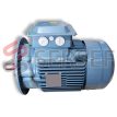 MOTOR ABB 160 IMB5 LADO 2