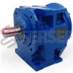 REDUCTOR MR3I 63 200 24 MARCA ROSSI LADO 1