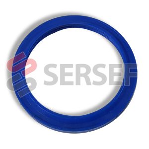 EMPAQUE P-200 COD.5.025.012