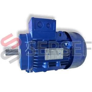 MOTOR 112 2 POLOS IMB14 KW=7.5 400/690V 50HZ IP55 IE1 MARCA BRONZONI SEGUN # 117919