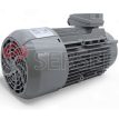 MOTOR 1LE1003-0EB42-2KA4 SIEMENS 90L LADO 3