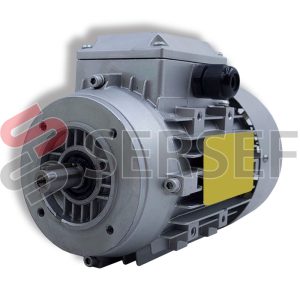 MOTOR JM71B-2 IMB14 RPM=3370 KW=0.55/0.66 230-400/277-480 50/60HZ MARCA SEIPEE