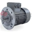 MOTOR SIEMENS .37 A .43 IMB5 IE2 MARCA SIEMENS LADO 1