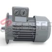 MOTOR SIEMENS .37 A .43 IMB5 IE2 MARCA SIEMENS LADO 2