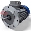 MOTOR TN 100 BRIDA ESPECIAL MARCA TN LADO 2
