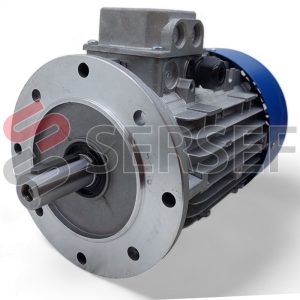 MOTOR TN 100 B2 B5R CON BRIDA ESPECIAL KW=4/4.8 230-400/240-415/280-480 MARCA MT