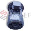 TH TP 100 IMB5 MOTOVARIO LADO 4