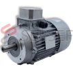 TH TP 100 Motovario LADO 1