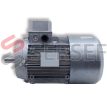 TH TP 100 Motovario LADO 2