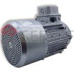 TH TP 100 Motovario LADO 3