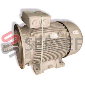MOTOR 1LE1503-2BB23-4JA4-Z OPC. L2345/52KW 400/690/460V 50/60HZ IMB35 MARCA SIEMENS