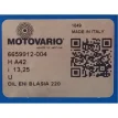 15301542_placa