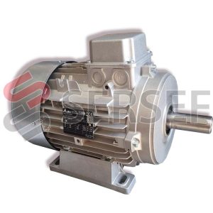 MOTOR MDP100B 2/4 POLOS KW=3.3/2.6 230V 60HZ IMB3 MARCA AMI