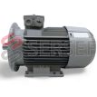 MOTOR 1LE1003-0EA02-2JA4 IMB35 MARCA SIEMENS LADO 2
