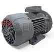 MOTOR 1LE1003-0EA02-2JA4 IMB35 MARCA SIEMENS LADO 3