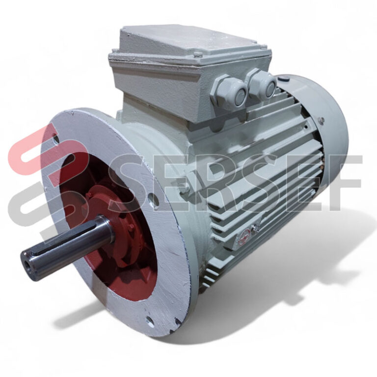 MOTOR 7PM160L6 B5 MARCA BMR LADO 1