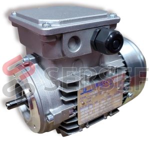 MOTOR TH56B2 IMB14 KW=0.12/0.14 V=230-400/265-460 50/60HZ IE2 MARCA MOTOVARIO