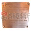 41204266T_PLACA