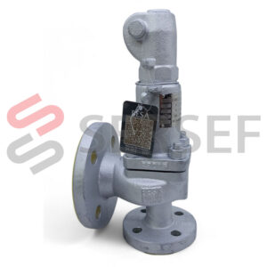 VALVULA DE SEGURIDAD 241-G-H4 DN20X40-PN16X16-DO= 18 MM. CAL:9BARG MARCA BESA