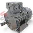 MOTOR 1LE1003-1BB63-4AA4-Z D04-F90-N03 MCA SIEMENS LADO 1