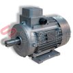 TS TH TP 132 IMB3 MOTOVARIO LADO 1
