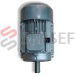 TS TH TP 132 IMB3 MOTOVARIO LADO 2