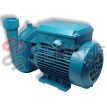 BOMBA CENTRIFUGA C22E CALPEDA LADO 1