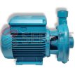 BOMBA CENTRIFUGA C22E CALPEDA LADO 2