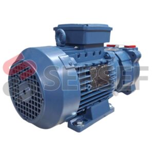 BOMBA DE VACIO TRMX 257/1-C/RX KW=2.2 50/60HZ MARCA POMPE TRAVAINI