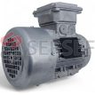 MOTOR SK71L4 CUS IMB14 NORD LADO 3