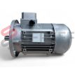 MOTOR TP132MB6 IMB5 MARCA MOTOVARIO LADO 2