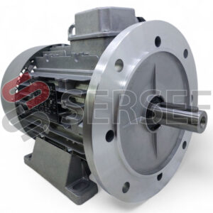 MOTOR HE3 112 2P IMB35 KW=5.5/6.6 V=230-400 50HZ IE3 IP55 (EX. T112B2) MARCA NERI