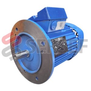 MOTOR IE3-W41R 80 G4 IB5 KW=0.9 P4 T80 V=255/440 60HZ MARCA VEM